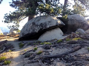 Mushroom fallen off pedestal