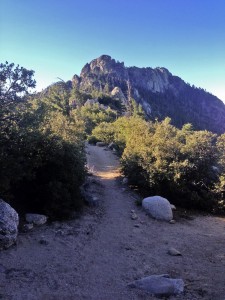 Trail tracking crest