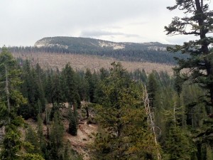 Blow down from distance