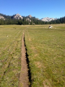 Meadow trail of excellent flatness