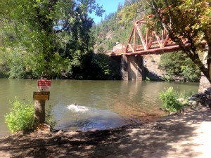 Red Beard makes a splash, Belden swimming hole