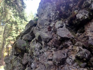 Conglomerate boulder