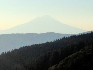 Shasta to the night
