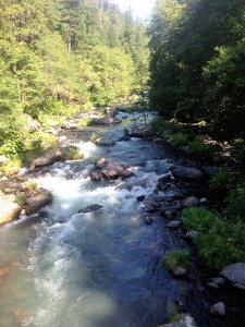 McCloud River and its gallons of beverages