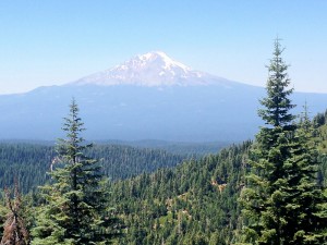 Mt. Shasta postcard angle