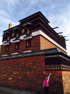 Tibetan Temple, note the brown bands of compressed branches